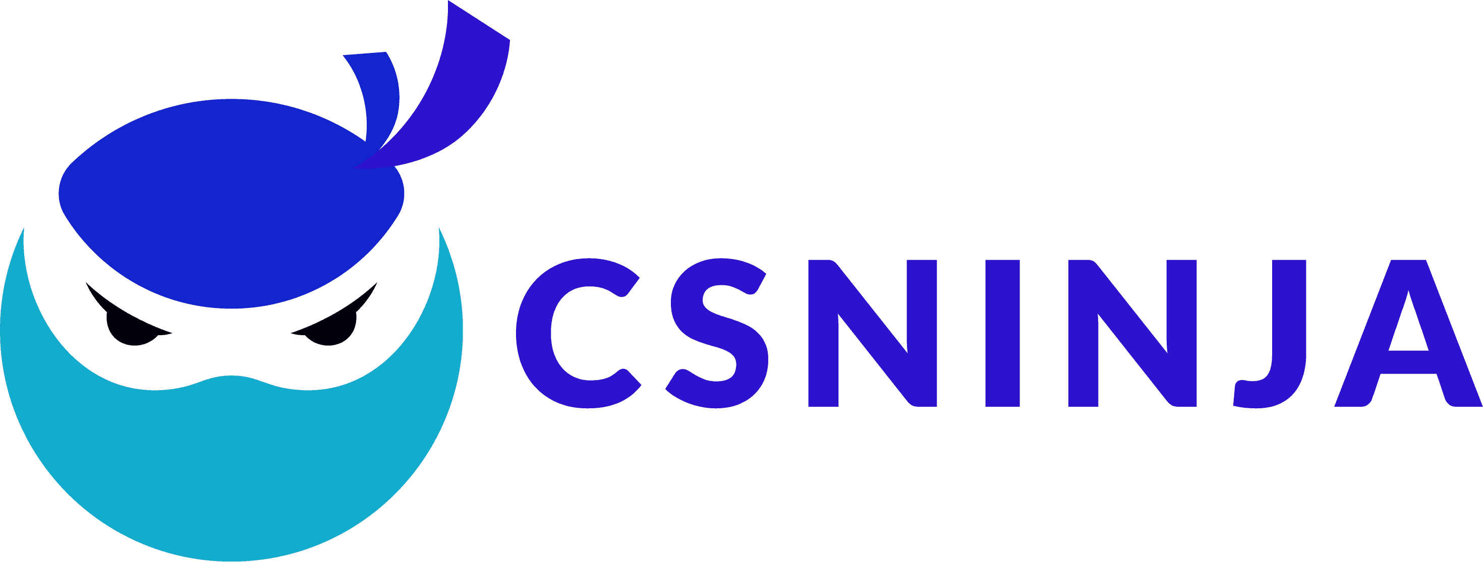 CS-Ninja cost segregation